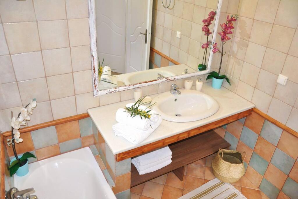 Villa Erietta Near Lefkas Center Απόλπαινα Εξωτερικό φωτογραφία