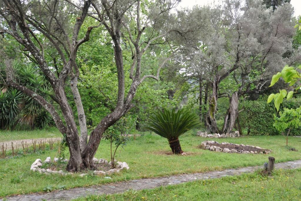 Villa Erietta Near Lefkas Center Απόλπαινα Εξωτερικό φωτογραφία